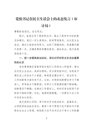 党组书记在民主生活会上的表态发言（审计局）