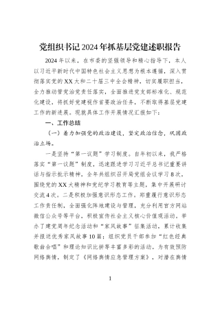 党组织书记2024年抓基层党建述职报告