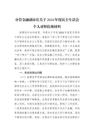 分管金融副市长关于2024年度民主生活会个人对照检视材料