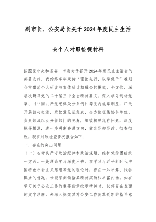 副市长、公安局长关于2024年度民主生活会个人对照检视材料