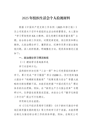 2025年组织生活会个人检视材料
