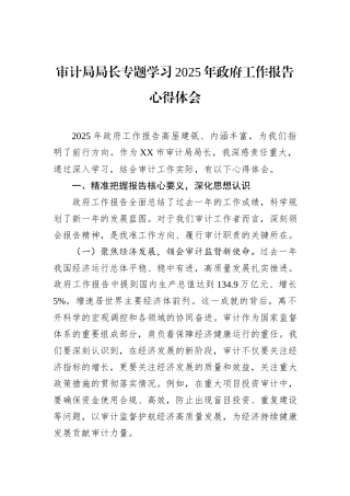 审计局局长专题学习2025年政府工作报告心得体会
