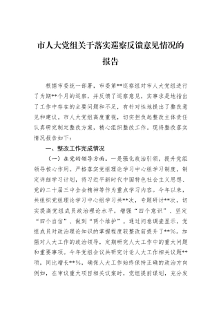 市人大党组关于落实巡察反馈意见情况的报告