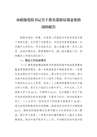 市政协党组书记关于落实巡察反馈意见情况的报告