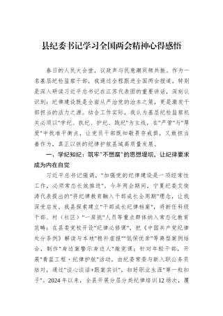 县纪委书记学习全国两会精神心得感悟