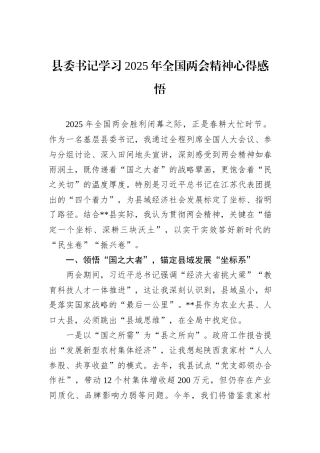 县委书记学习2025年全国两会精神心得感悟
