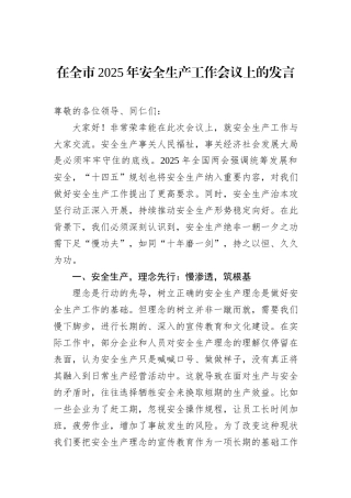 在全市2025年安全生产工作会议上的发言