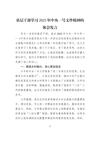 基层干部学习2025年中央一号文件精神的体会发言