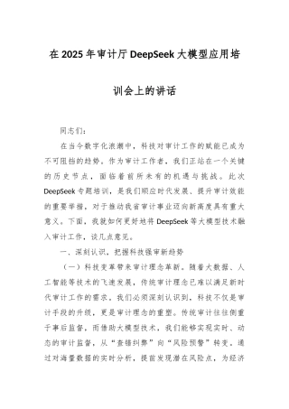 在2025年审计厅DeepSeek大模型应用培训会上的讲话