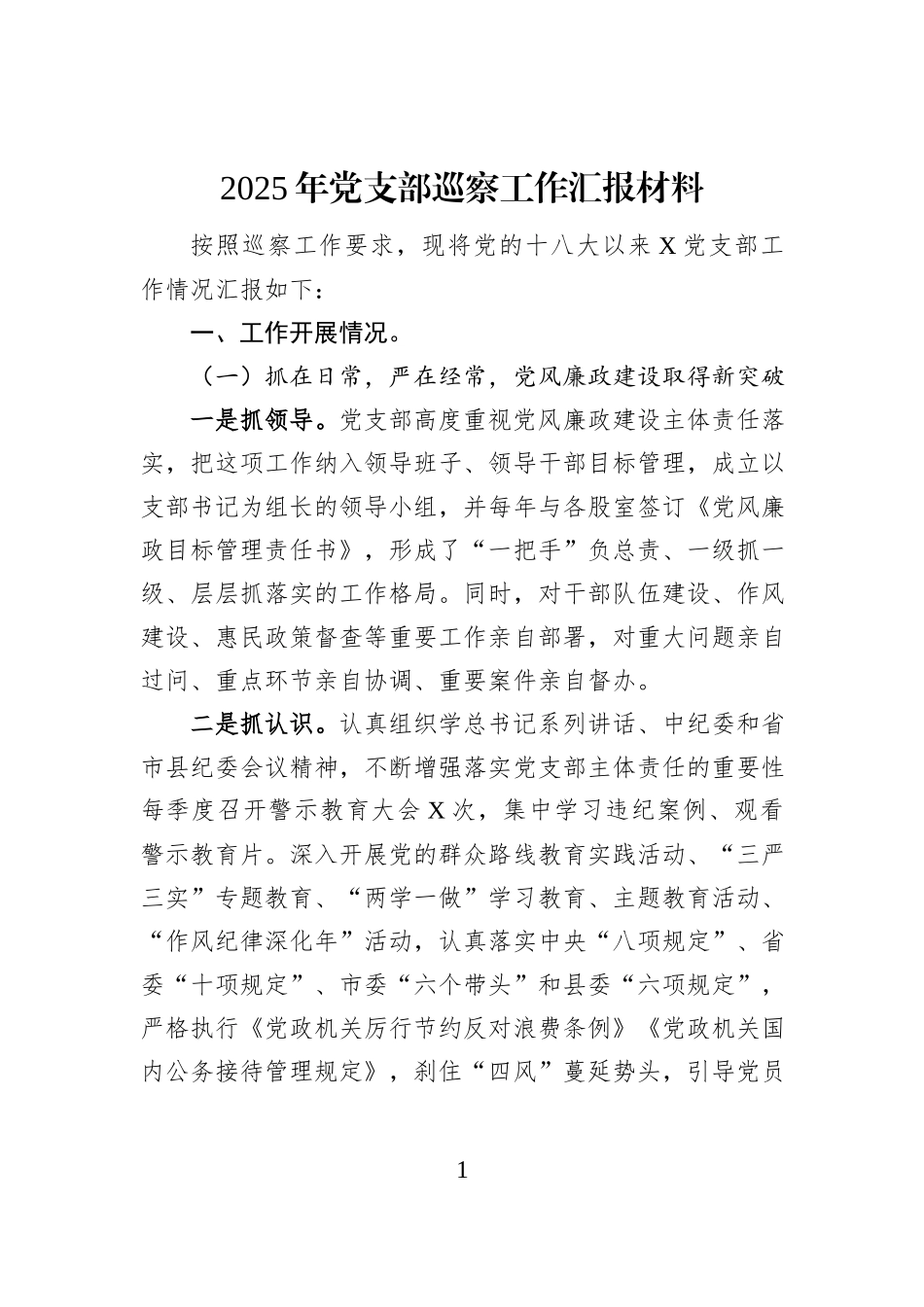 2025年党支部巡察工作汇报材料_第1页