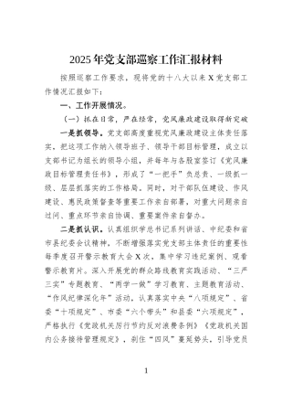 2025年党支部巡察工作汇报材料