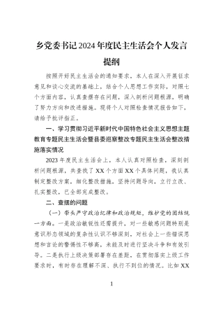 乡党委书记2024年度民主生活会个人发言提纲