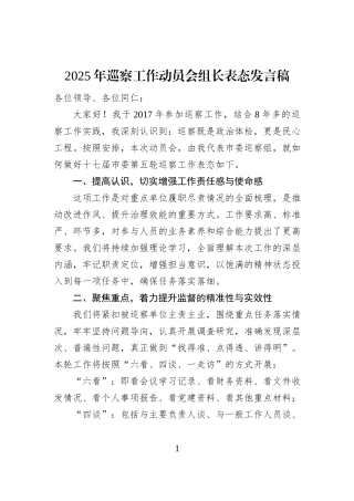 2025年巡察工作动员会组长表态发言稿