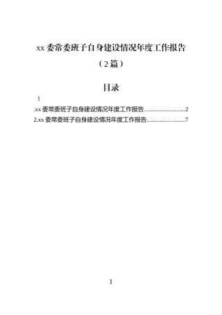 xx委常委班子自身建设情况年度工作报告（2篇）