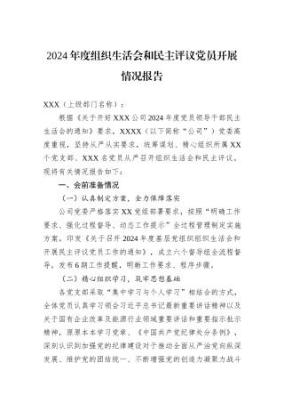 2024年度组织生活会和民主评议党员开展情况报告