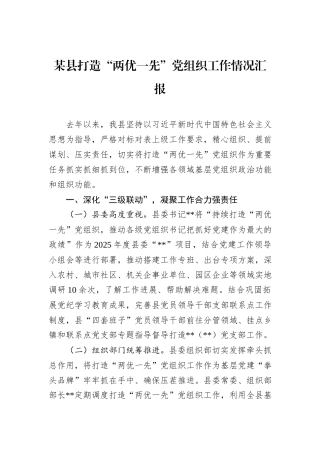 某县打造“两优一先”党组织工作情况汇报