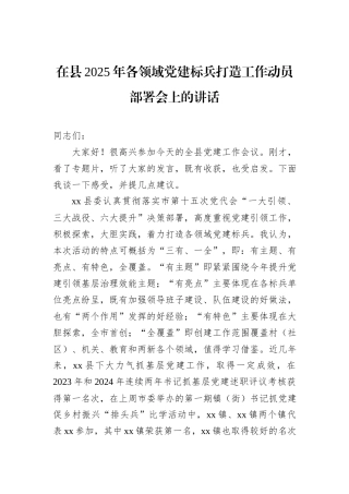 在县2025年各领域党建标兵打造工作动员部署会上的讲话