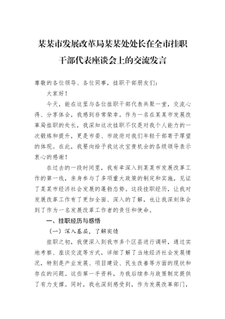 某某市发展改革局某某处处长在全市挂职干部代表座谈会上的交流发言