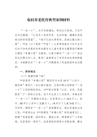 农村养老托育典型案例材料
