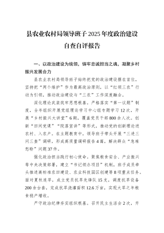 县农业农村局领导班子2025年度政治建设自查自评报告
