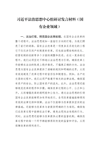 习近平法治思想中心组研讨发言材料（国有企业领域）