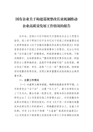 国有企业关于构建巡视整改长效机制推动企业高质量发展工作情况的报告