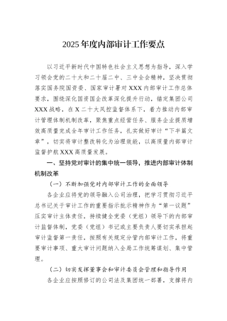2025年度内部审计工作要点