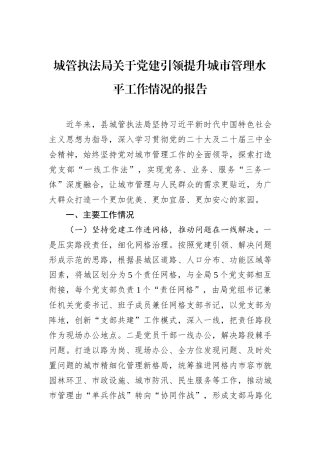 城管执法局关于党建引领提升城市管理水平工作情况的报告