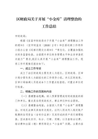 区财政局关于开展“小金库”清理整治的工作总结