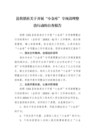 县供销社关于开展“小金库”专项清理整治行动的自查报告
