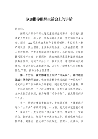参加指导组织生活会上的讲话