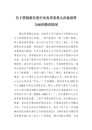 关于贯彻落实党中央及省委重大决策部署方面的整改情况
