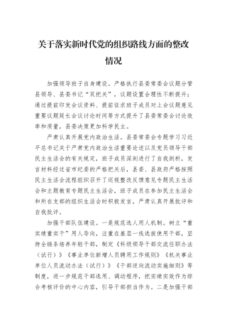 关于落实新时代党的组织路线方面的整改情况