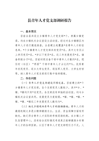 县青年人才党支部调研报告