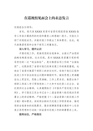 在巡视组见面会上的表态发言