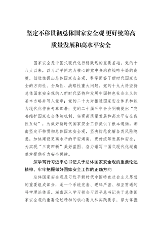 坚定不移贯彻总体国家安全观+更好统筹高质量发展和高水平安全.docx