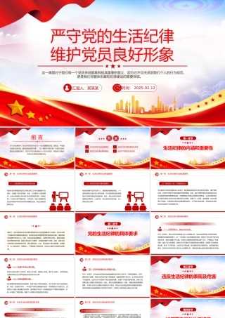 严守党的生活纪律维护党员良好形象PPT党员学习教育课件.pptx