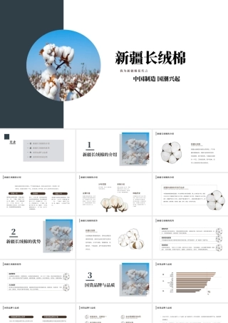 2021新疆长绒棉ppt简洁雅致纯净新疆棉花农产品介绍课件下载.pptx