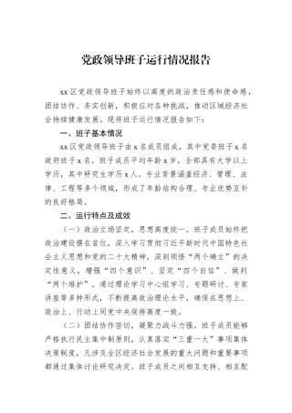 党政领导班子运行情况报告.docx