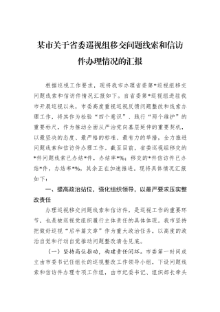 某市关于省委巡视组移交问题线索和信访件办理情况的汇报.docx