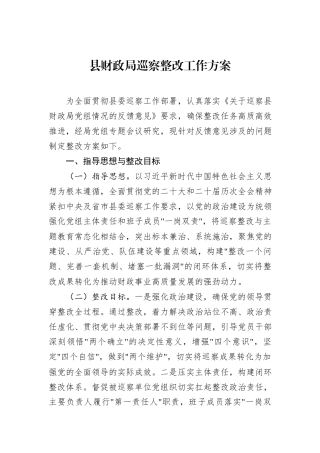 县财政局巡察整改工作方案.docx