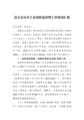 县公安局关于命案防范治理工作情况汇报.docx