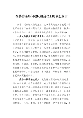 在县委巡察问题反馈会议上的表态发言.docx