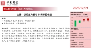 生猪：供给压力犹存 供需形势偏弱-20231229-华安期货-15页.pdf