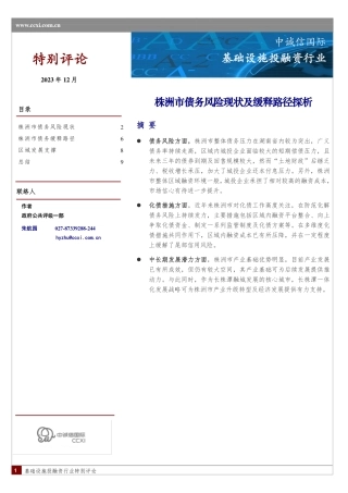 株洲市债务风险现状及缓释路径探析-10页.pdf