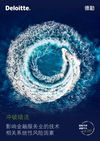 影响金融服务业的技术相关系统性风险因素（上）-德勤-24页.pdf