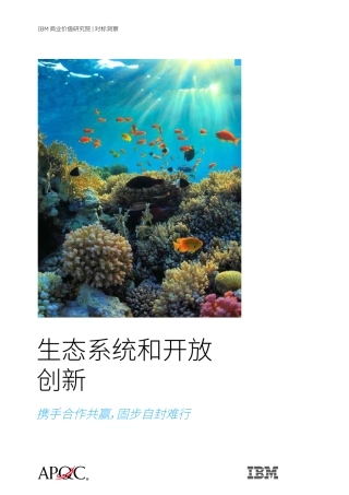 生态系统和开放创新：携手合作共赢，固步自封难行-39页.pdf