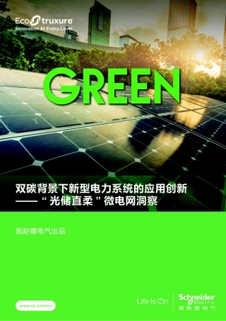 2023双碳背景下新型电力系统的应用创新-“光储直柔”微电网洞察-22页.pdf