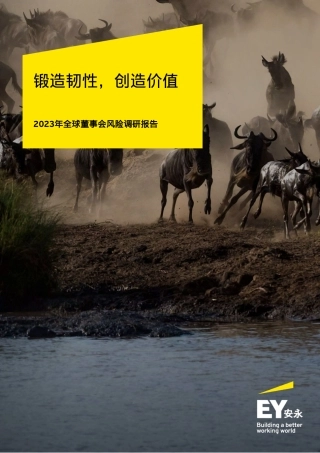 2023全球董事会风险调研报告-36页.pdf