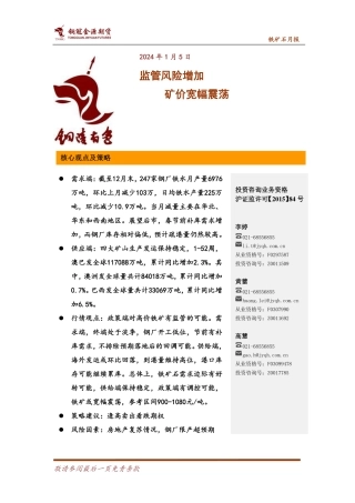 铁矿石月报：监管风险增加 矿价宽幅震荡-20240105-金源期货-13页.pdf